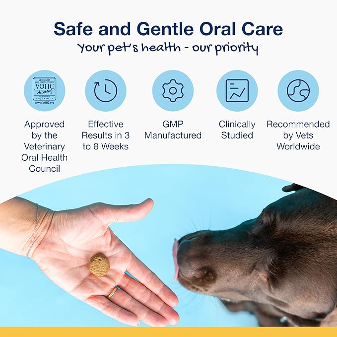 ProDen PlaqueOff Soft Chews with Natural Kelp - for Large & Giant Breed Dogs - Supports Normal, Healthy Teeth, Gums, and Breath Odor in Dogs - 90 Soft Chews