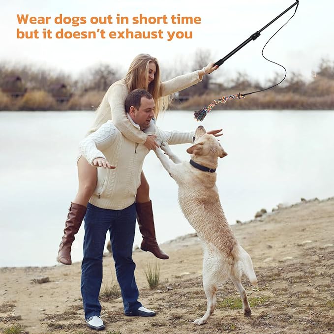 LOOBANI Flirt Pole for Dogs - Chase & Tug of War, Interactive Toys & Extendable Teaser Wand for Small Dogs Training & Exercise