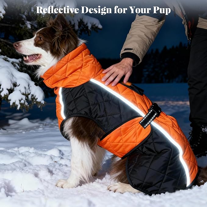 Dog Coat Dogs Jacket Waterproof Reflective Adjustable Dog-Winter Coats for Small/Medium/Large Dogs Dachshund Coat-(Orange, Medium)