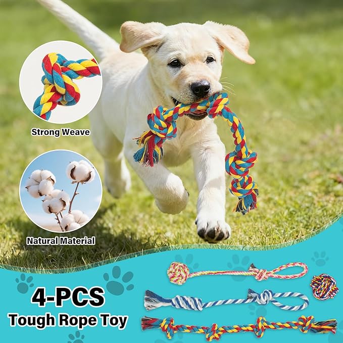 Flirt Pole for Dogs with 4 Rope Chew Toys, Dog Flirt Pole with Carry Bag for Outdoor Training and Exercise, Detachable Teaser Wand for Small, Medium Dogs