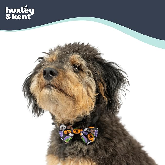Huxley & Kent Pet Bow Tie for Dogs & Cats - Halloween Adjustable Hook & Loop Collar Accessory - Cute & Comfortable for Holidays & Celebrations - Halloween Donuts, Smal