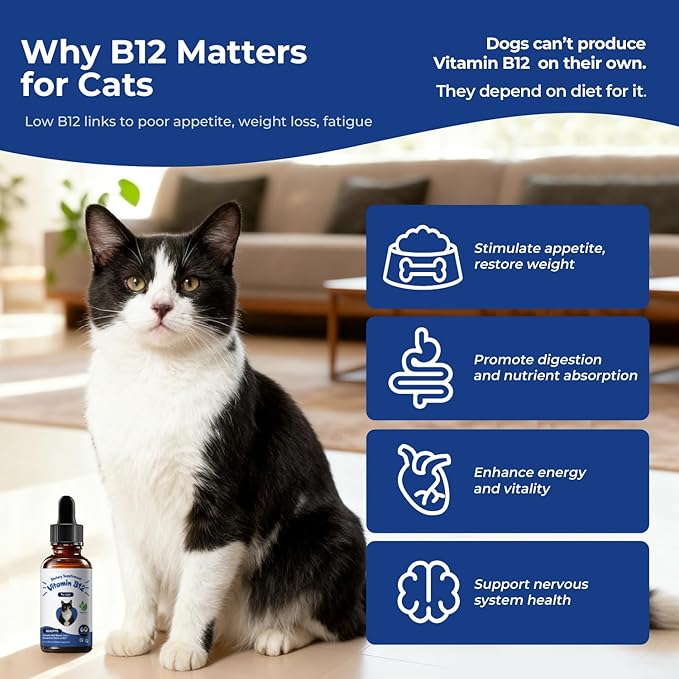 Appetite Stimulant for Cats, Liquid Vitamin B12 Drops, Methylcobalamin Supplement, Boosts Appetite, Energy, Mood, Recovery and Red Blood Cell Formation, Cat Vitamins - 2 fl oz (60ml)