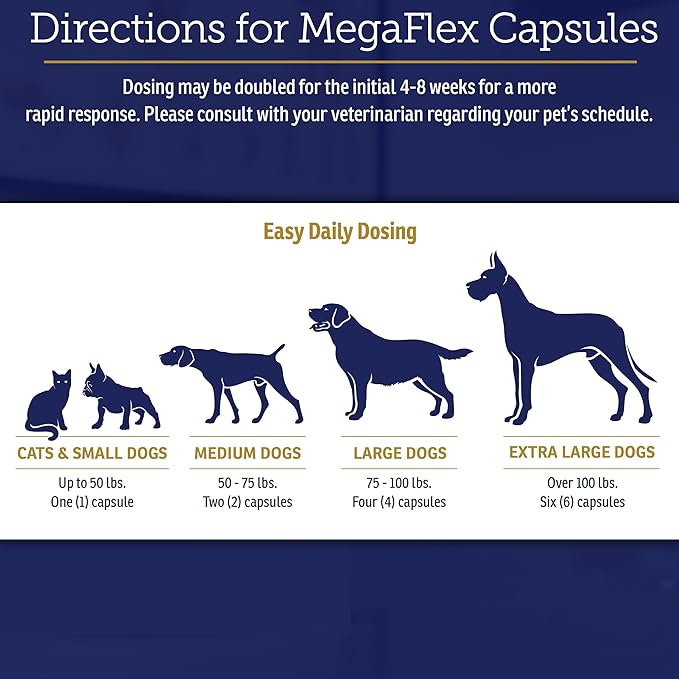 Rx Vitamins MegaFlex Cat and Dog Joint Supplement - Glucosamine Sulfate with MSM, Vitamin C, & Sea Cucumber - Supports Joint Flexibility and Mobility - for All Breeds and Sizes - 600 Capsules