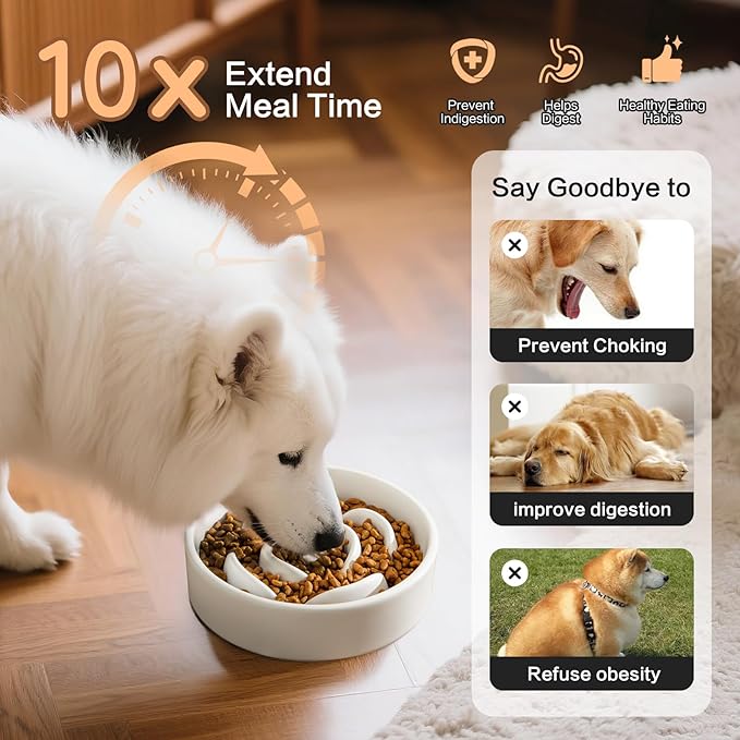 6'' Ceramic Slow Feeder Dog Bowls - Petal Shape Modern Dog Food Dish for Cats and Small Breed Dogs, Puzzle Maze Bowl to Slow Down Eating, Anti-Gulping, Dishwasher & Microwave Safe, White