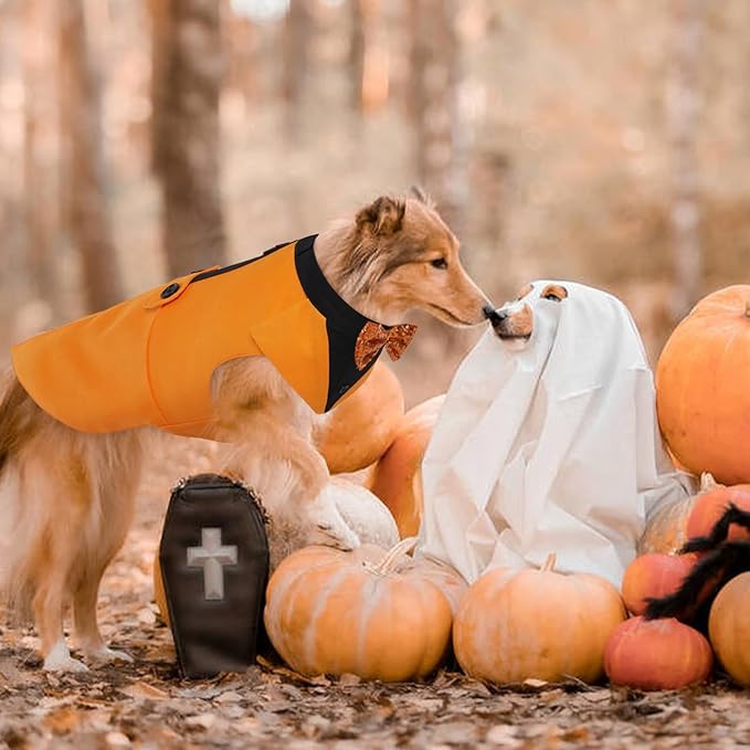 Kuoser Dog Tuxedo Suit and Bandana Set, Pumpkin Color Dogs Thanksgiving Outfit Adjustable Dog Halloween Costume with Bow Tie for Large Medium Small Dogs Golden Retriever Samo Bulldogs, L
