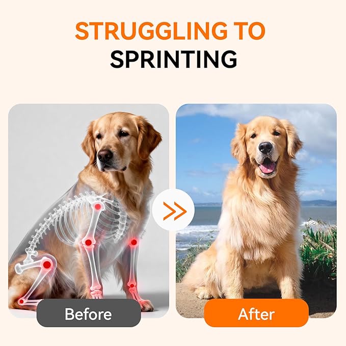 Collagen for Dogs & Cats Hip & Joint Supplement with Glucosamine, Chondroitin, MSM, Dog Joint Pain Relief, Multivitamin Treats for Small, Medium Large Dog Mobility-30 Soft Chews