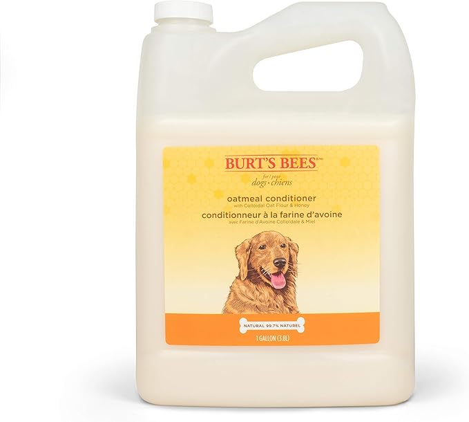 Burt's Bees for Dogs Natural Oatmeal Conditioner with Colloidal Oat Flour and Honey | Oatmeal Dog Conditioner, 1 Gallon | Cruelty Free, Sulfate & Paraben Free, Soothing Dog Conditioner for All Dogs