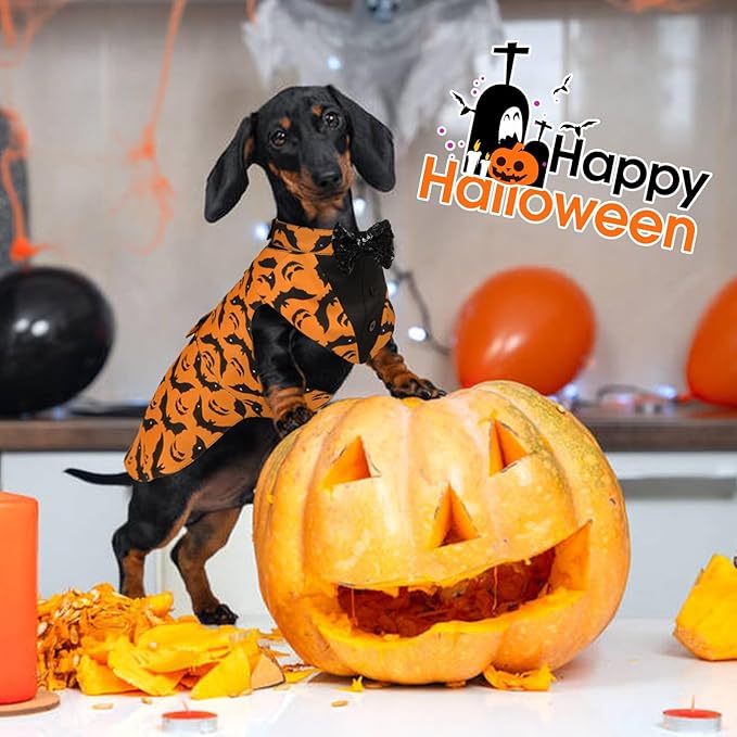 Kuoser Dog Tuxedo Suit and Bandana Set, Bat Pumpkin Print Dogs Halloween Outfit Adjustable Dog Halloween Costume with Bow Tie for Large Medium Small Dogs Golden Retriever Samo Bulldogs, Orange L