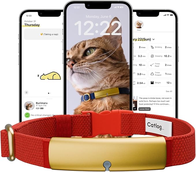 Health Tracker for Cats - Smart Cat Collar with Safety Breakaway Buckle for Indoor Cats, Wellness Alerts, Real-time Monitoring (Red, XL)