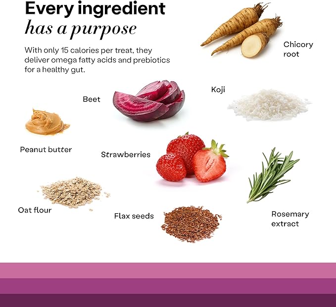 Wild Earth Superfood Dog Treats, Plant Based Dog Treats with Omega Acids, Prebiotics & Koji Protein, No Fillers, Veterinarian-Developed, Strawberry & Beet Flavor