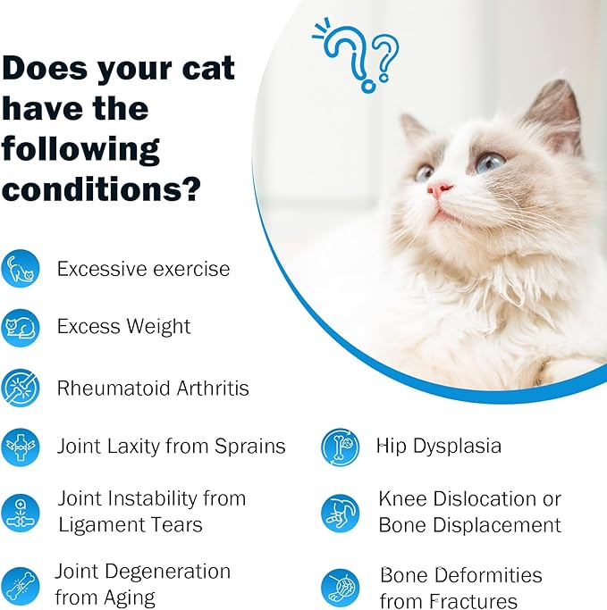 Joint Supplement for Cats - Glucosamine & Chondroitin Drops - Arthritis Relief for Senior Cats - Hip & Joint Care for Indoor Cat - Cat Supplements & Vitamins - 59ML