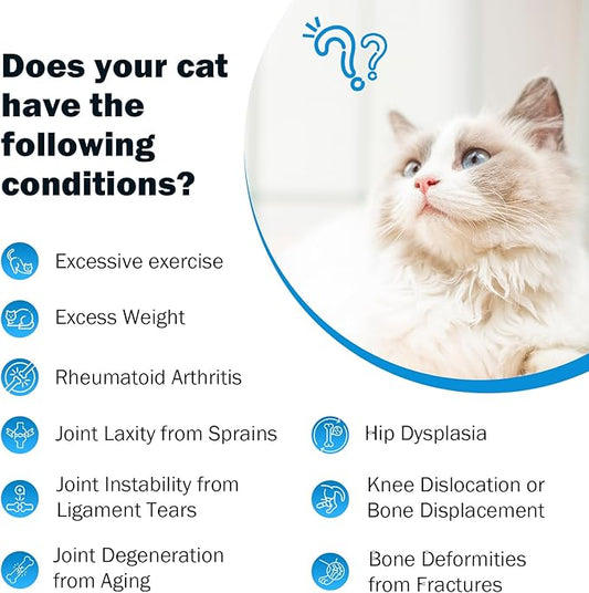 Joint Supplement for Cats - Glucosamine & Chondroitin Drops - Arthritis Relief for Senior Cats - Hip & Joint Care for Indoor Cat - Cat Supplements & Vitamins - 59ML