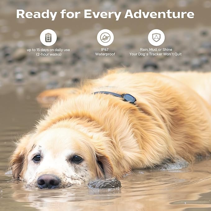 2-Pack Outdoor GPS Dog Tracker for Two Dogs – Real-Time Tracking, No Phone or Signal Needed, Perfect for Hiking, Camping, Farms, and Large Open Spaces, No Subscription Fees