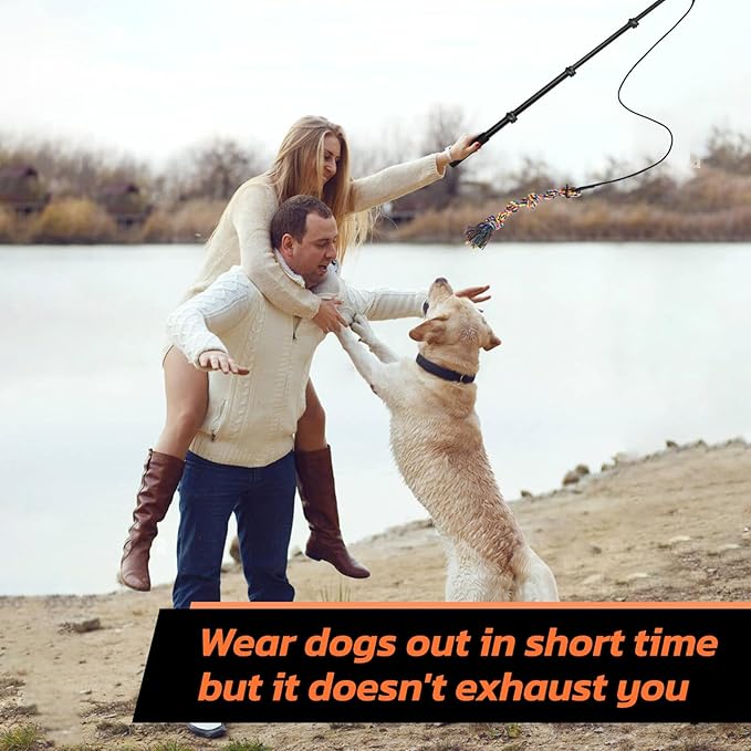 LOOBANI Flirt Pole for Dogs - Chase & Tug of War, Extendable Teaser Wand with Detachable Toys for Medium Dogs Training & Exercise, 48.8in