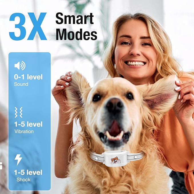 GPS Wireless Dog Electronic Fence & Dog Training Collar, Waterproof Rechargeable Collar with GPS Tracker,Customizable Boundaries via App, No Subscription Required, One Size Outdoor (Black)