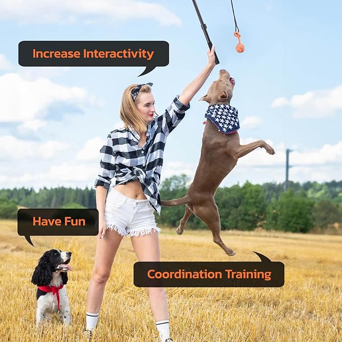 LOOBANI Flirt Pole for Dogs - Chase & Tug of War, Extendable Teaser Wand with Detachable Toys for Medium Dogs Training & Exercise, 48.8in
