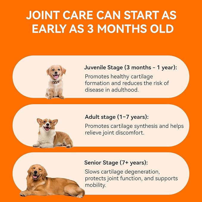 Collagen for Dogs & Cats Hip & Joint Supplement with Glucosamine, Chondroitin, MSM, Dog Joint Pain Relief, Multivitamin Treats for Small, Medium Large Dog Mobility-30 Soft Chews