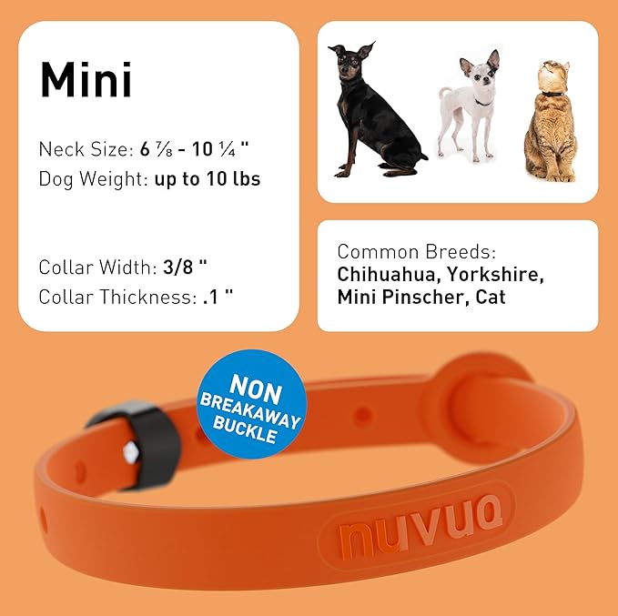 Dog and Puppy Collar - Comfortable, Soft and Lightweight Adjustable Collars with Name Tag Ring for Miniature Dogs and Puppies - Non Breakaway Cat Collar by Nuvuq (Orange, Mini)