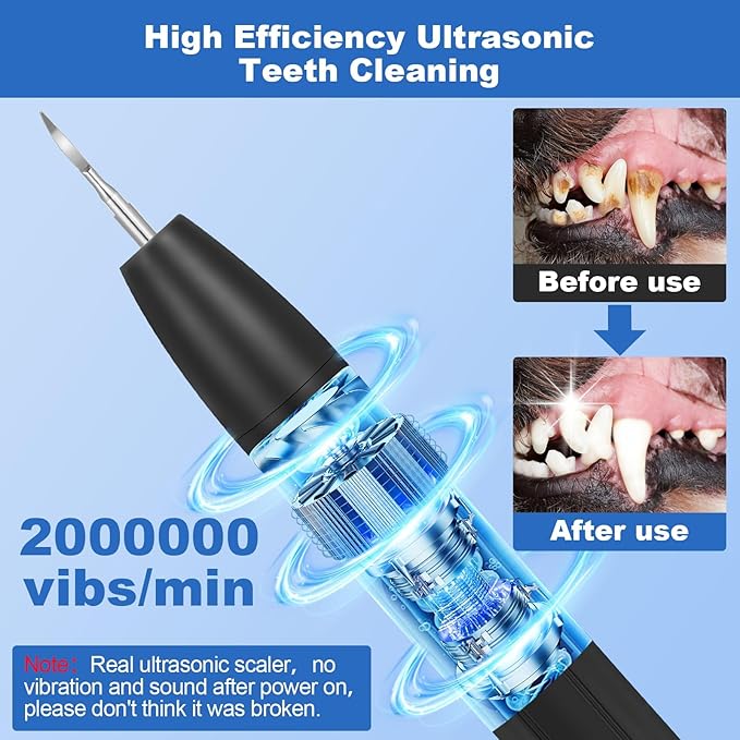 Dog Teeth Cleaning Kit,Dogs Tooth Brushing Kit with Light,3 Modes Doggie Toothbrush, Dog Plaque and Tartar Remover for Teeth,Low Noise Pet Teeth Cleaner,Dark Black