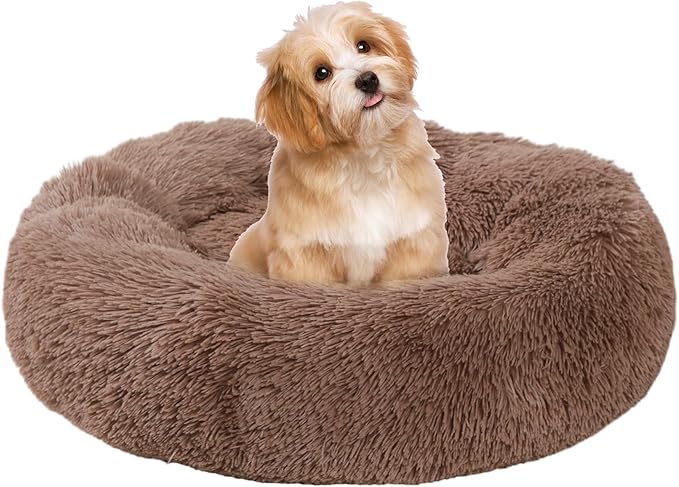 Small Dog Bed, Cat Beds for Indoor Cats, Calming Anti-Anxiety Donut Bed for Puppy and Kitten, Washable Round Fluffy Pet Bed for Small Dogs and Cats(Fits up to 15 lbs Pets)