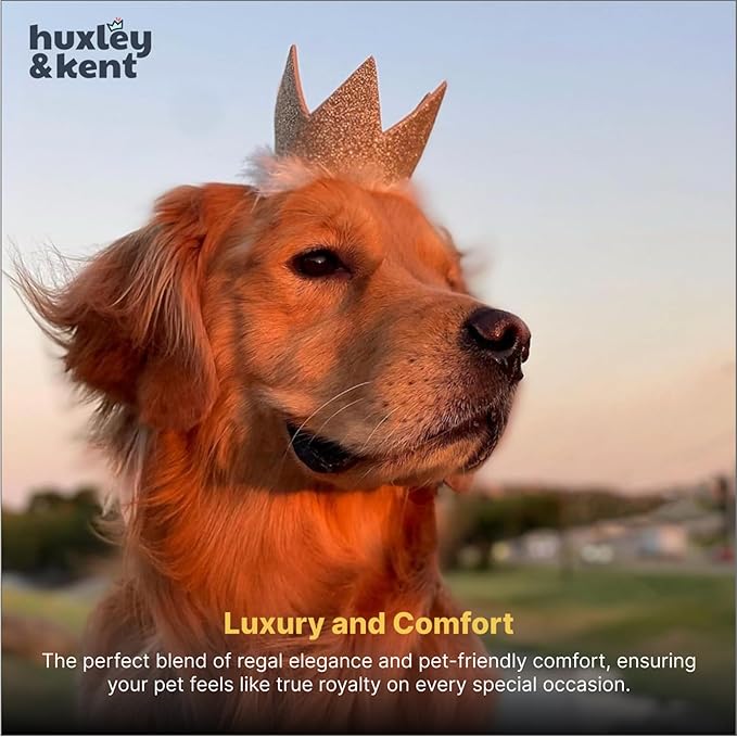 Huxley & Kent Pet Party Crown – Adjustable Glitter Crown Hat with SnugFit Straps – Party Accessory for Dogs & Cats – Gold, Large