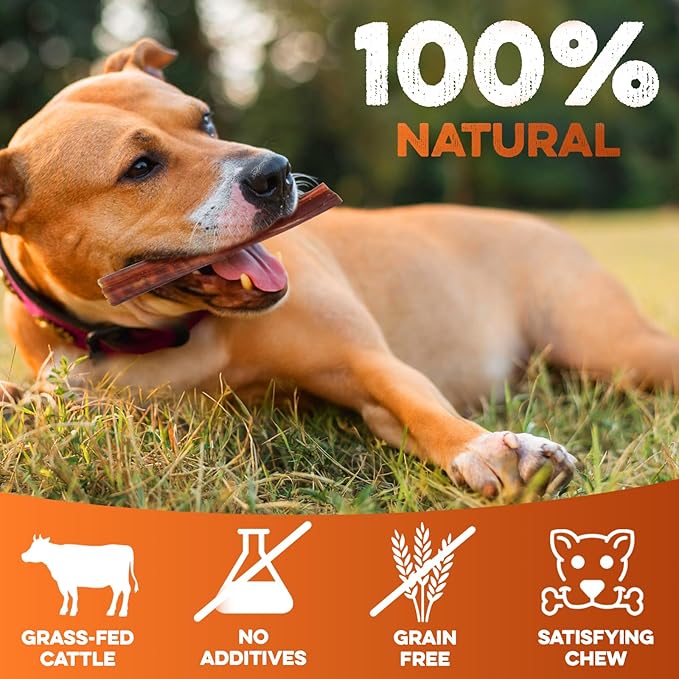 BRUTUS & BARNABY Bully Sticks for Dogs, 6" – Low-to-No Odor, Grass-Fed, Rawhide-Free Chews for Aggressive Power Chewers