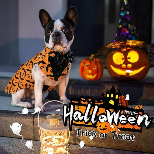 Kuoser Dog Tuxedo Suit and Bandana Set, Bat Pumpkin Print Dogs Halloween Outfit Adjustable Dog Halloween Costume with Bow Tie for Large Medium Small Dogs Golden Retriever Samo Bulldogs, Orange L