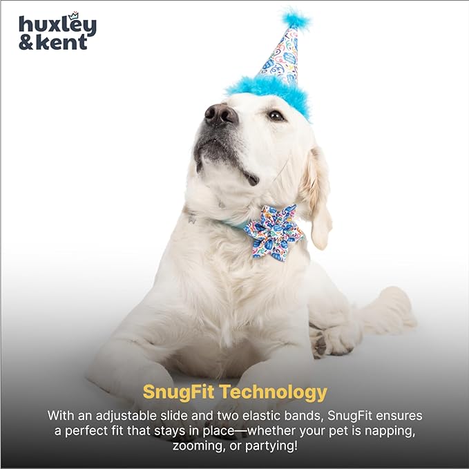 Huxley & Kent Pet Party Hat w/SnugFit Tech - Cute Glitter Doggie Birthday Party Hat- Cat & Dog Birthday Hat - Dog Hats for Parties, Adoption or Gotcha Day (Happy Got Me Day, Small)