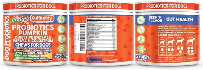 Gut Health Probiotics for Dogs + Pumpkin Colostrum Digestive Enzymes Ginger Slippery Elm Licorice Inulin Fiber Soft Chews Dog Probiotic Beef Flavor Digestion Supplement Treat Bites Large & Small Pets