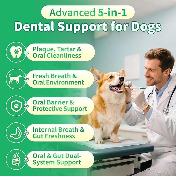 Dog Dental Powder – Teeth Cleaning Powder with 6B CFU Probiotics, Enzymes & Antioxidants, Plaque & Tartar Off, Fresh Breath Support, No Brushing Oral Care, Mint Chicken Flavor, 75 Servings