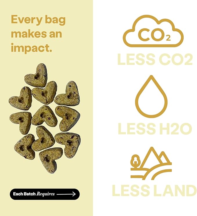 Wild Earth Superfood Dog Treats, Plant Based Dog Treats with Omega Acids, Prebiotics & Koji Protein, No Fillers, Veterinarian-Developed, Banana & Cinnamon Flavor