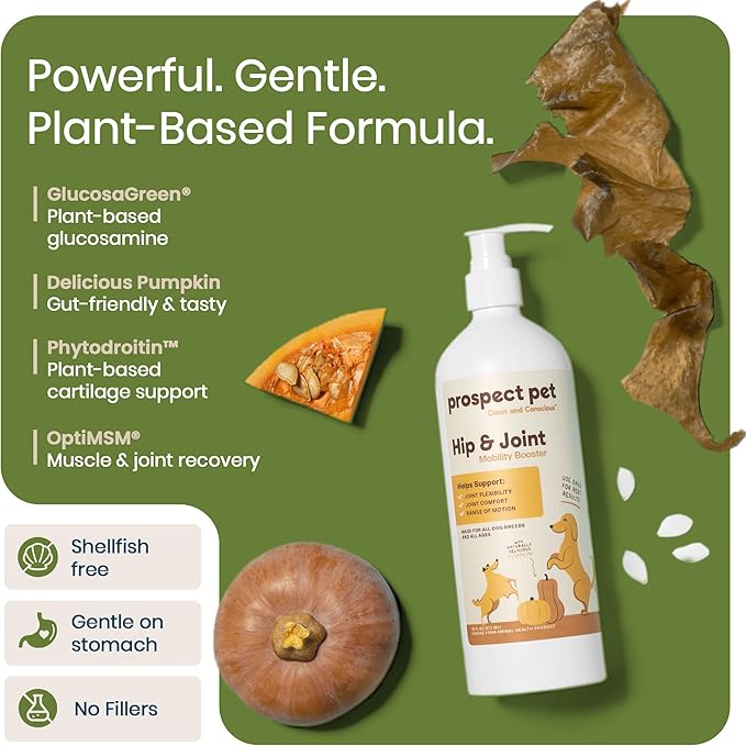 Hip and Joint Supplement for Dogs - Glucosamine with Plant-Based Chondroitin, MSM & Pumpkin - Advanced Joint Relief Dog Supplements for Large & Small Breeds - USA Made 16OZ