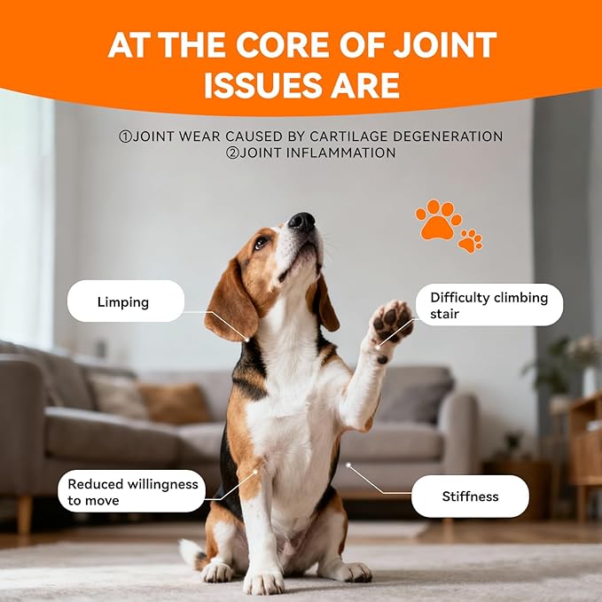 Dogs & Cats Hip & Joint Supplement with Collagen, Glucosamine, Chondroitin, MSM, Dog Joint Pain Relief, Multivitamin Treats for Small, Medium Large Dog Mobility, Large Breeds-90 Soft Chews