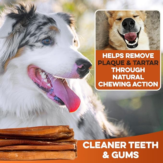 BRUTUS & BARNABY Bully Sticks for Dogs, 6" – Low-to-No Odor, Grass-Fed, Rawhide-Free Chews for Aggressive Power Chewers