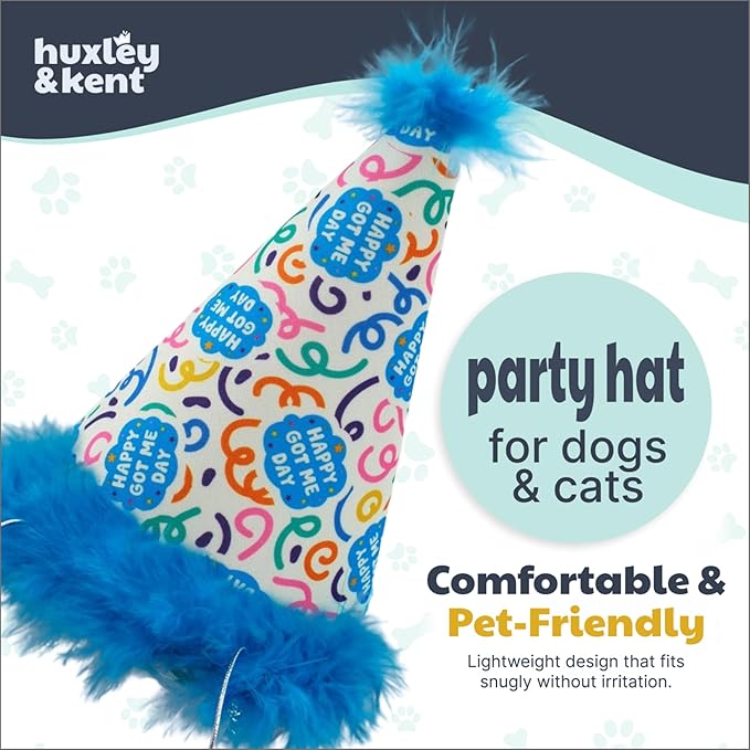 Huxley & Kent Pet Party Hat w/SnugFit Tech - Cute Glitter Doggie Birthday Party Hat - Cat & Dog Birthday Hat - Dog Hats for Parties, Adoption or Gotcha Day (Happy Got Me Day, Large)