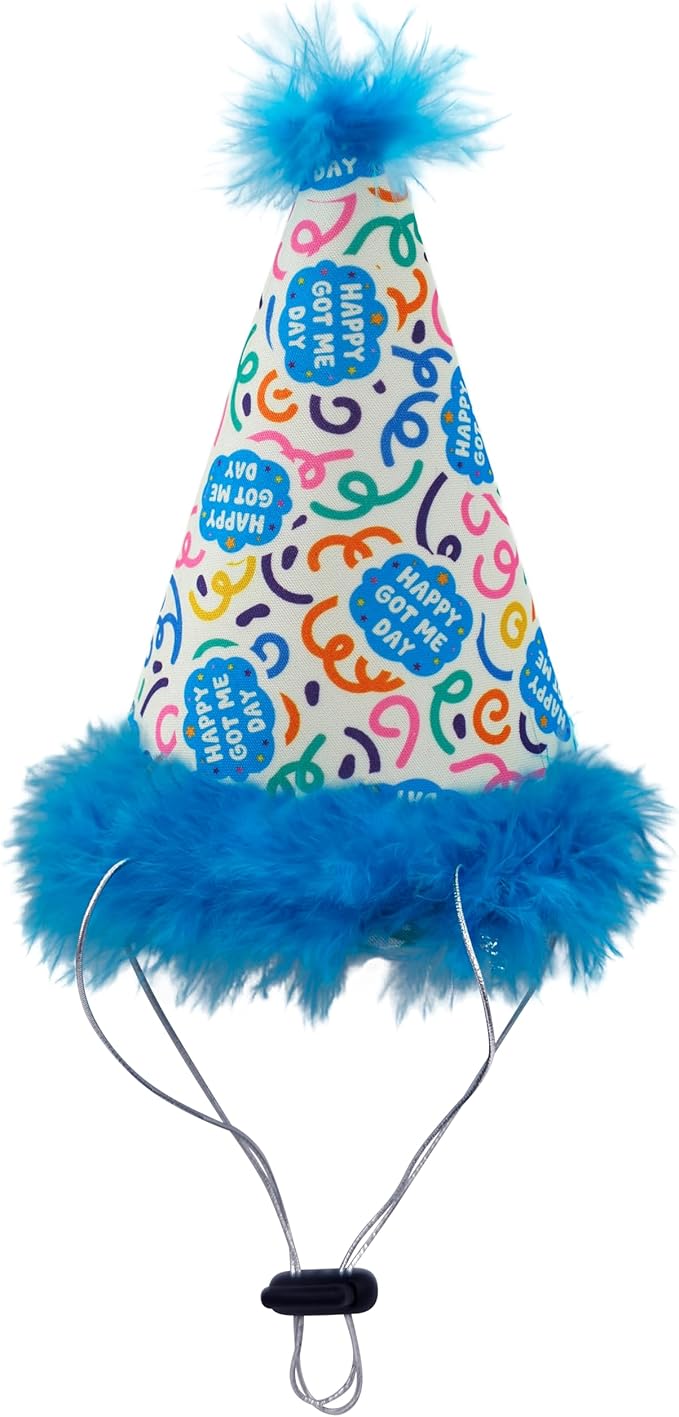 Huxley & Kent Pet Party Hat w/SnugFit Tech - Cute Glitter Doggie Birthday Party Hat - Cat & Dog Birthday Hat - Dog Hats for Parties, Adoption or Gotcha Day (Happy Got Me Day, Large)