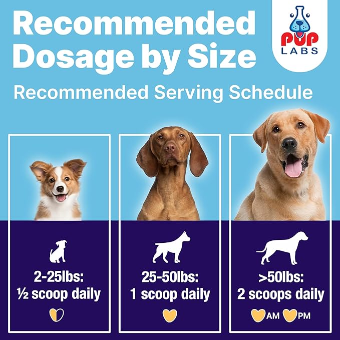 ProDenta, Dog Teeth Cleaning and Dog Breath Freshener, Natural Powder for Plaque, Tartar, and Gum Support Made in USA, 3-Pack (90 Scoops)