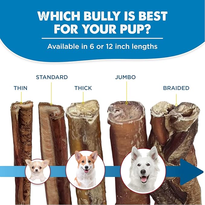 Best Bully Sticks Odorless 4-8 Inch Bully Sticks for Dogs - 8 oz (Pack of 1) - Natural Grass-Fed Beef, No Rawhide, Grain and Odor Free Chew Treat - Small, Medium, Large Breeds, Puppies