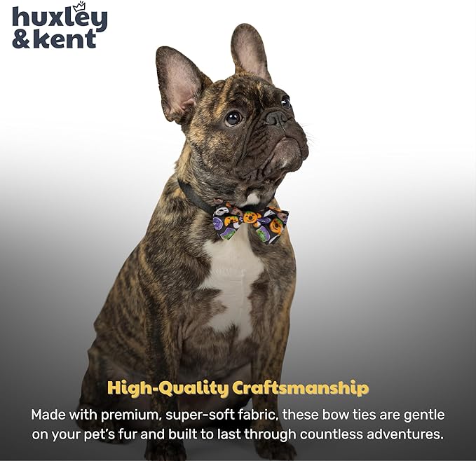 Huxley & Kent Pet Bow Tie for Dogs & Cats - Halloween Adjustable Hook & Loop Collar Accessory - Cute & Comfortable for Holidays & Celebrations - Halloween Donuts, Extra-Large