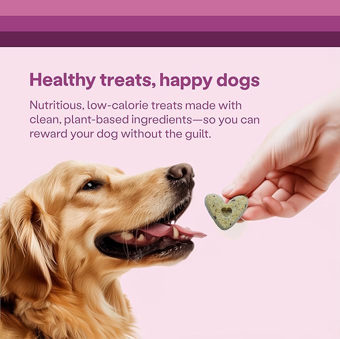 Wild Earth Superfood Dog Treats, Plant Based Dog Treats with Omega Acids, Prebiotics & Koji Protein, No Fillers, Veterinarian-Developed, Strawberry & Beet Flavor