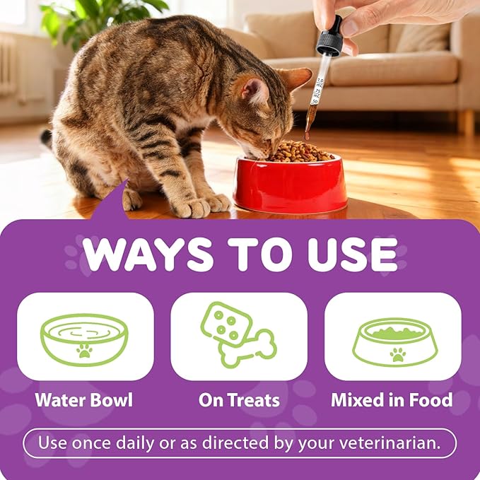 Lysine for Cats - 2 Packs Cat Lysine Drops