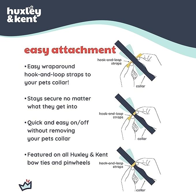 Huxley & Kent Pet Bow Tie for Dogs & Cats - Halloween Adjustable Hook & Loop Collar Accessory - Cute & Comfortable for Holidays & Celebrations - Trick or Treat, Extra-Large