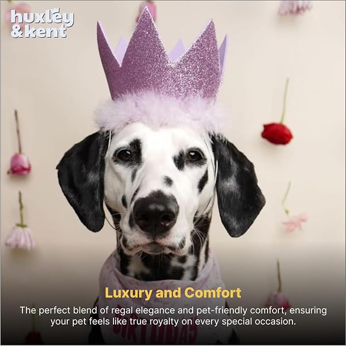 Huxley & Kent Pet Party Crown Hat for Dogs & Cats - Comfortable SnugFit Adjustable Straps - Glitter Crown for Parties, Gotcha Days & Celebrations - Purple, Large