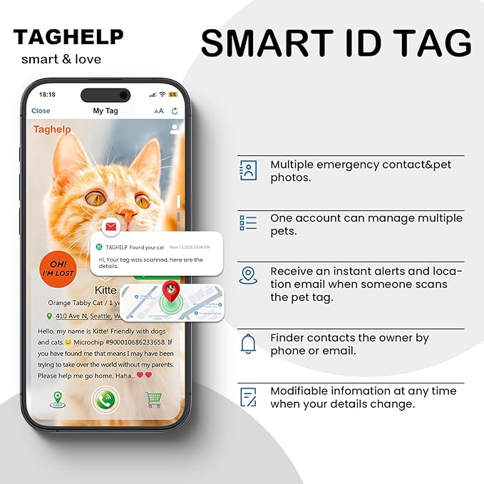 Christmas 2 Pack, Never Lose Your Cat's Info Again | Breakaway Collar with Scan-to-Contact QR Code Plate | Reflective, Bell & Fully Adjustable, 2-Pack Value (Red & Green)