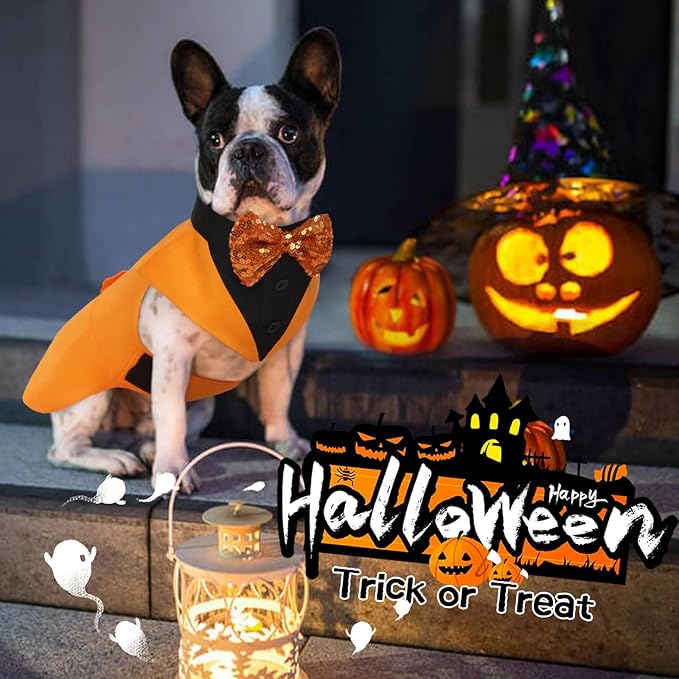 Kuoser Dog Tuxedo Suit and Bandana Set, Pumpkin Color Dogs Thanksgiving Outfit Adjustable Dog Halloween Costume with Bow Tie for Large Medium Small Dogs Golden Retriever Samo Bulldogs, L