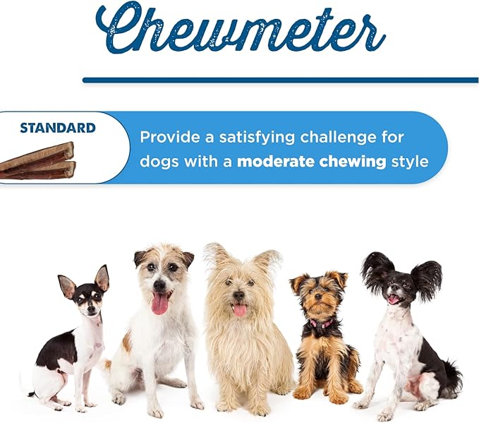 Best Bully Sticks Odorless 4-8 Inch Bully Sticks for Dogs - 8 oz (Pack of 1) - Natural Grass-Fed Beef, No Rawhide, Grain and Odor Free Chew Treat - Small, Medium, Large Breeds, Puppies