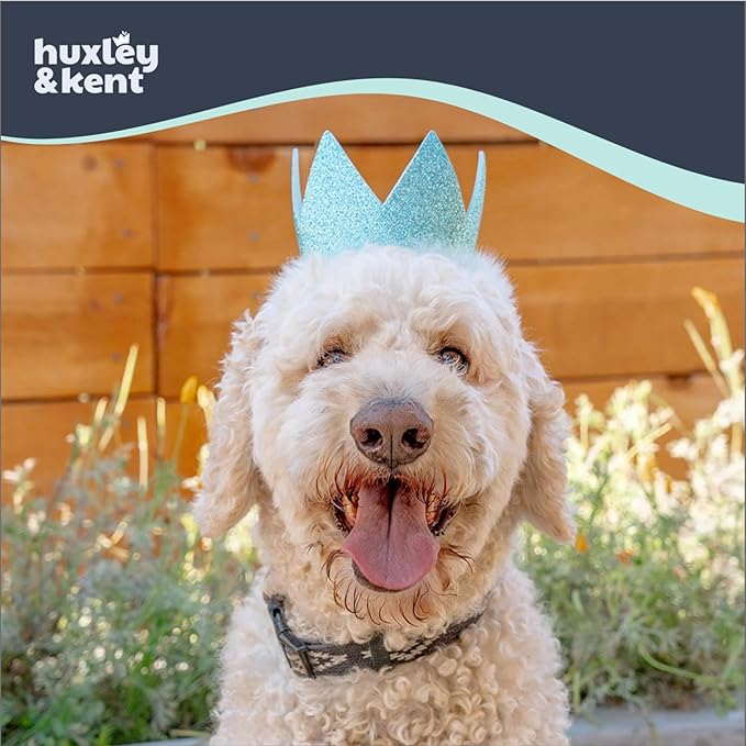 Huxley & Kent Pet Party Crown Hat for Dogs & Cats - Comfortable SnugFit Adjustable Straps - Glitter Crown for Parties, Gotcha Days & Celebrations - Blue, Small