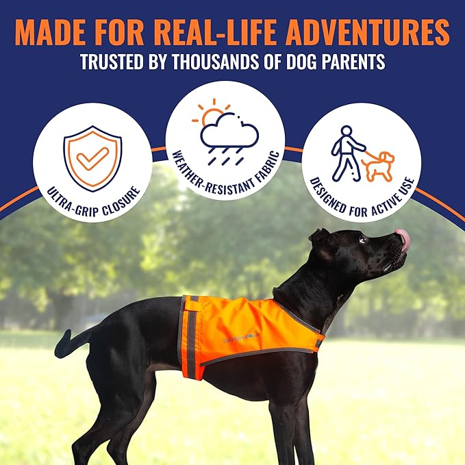 Blaze Orange Dog Vest, Lite Edition. High Visibility Dog Reflective Jacket with Mid Back Coverage. Ideal Hunting Vest, Reflective Gear for Small, Medium, and Large Breeds Helping to Keep Your PUP Safe