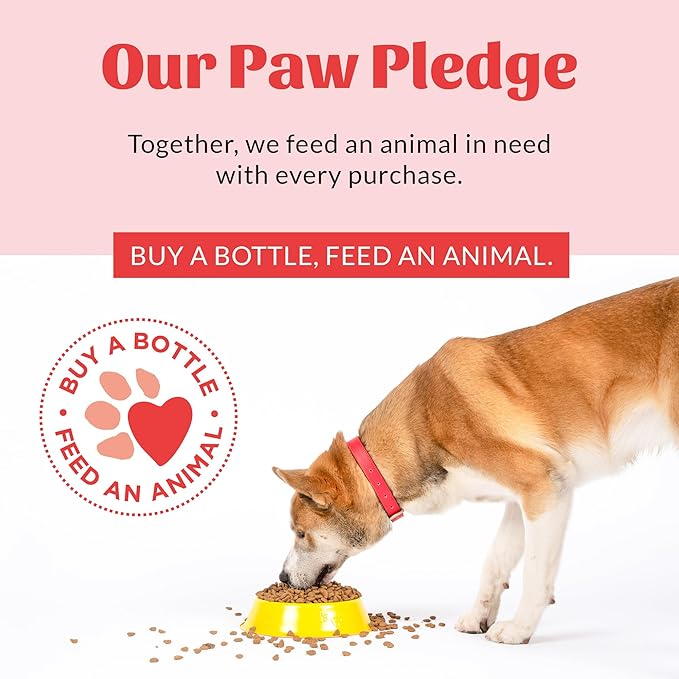 SKOUT'S HONOR Fresher Breath Water Additive for Pets - VOHC Accepted for Tartar Control, Freshens Breath Fast, No Brushing Required: Fresh & Flavorless 16oz - 2 Pack