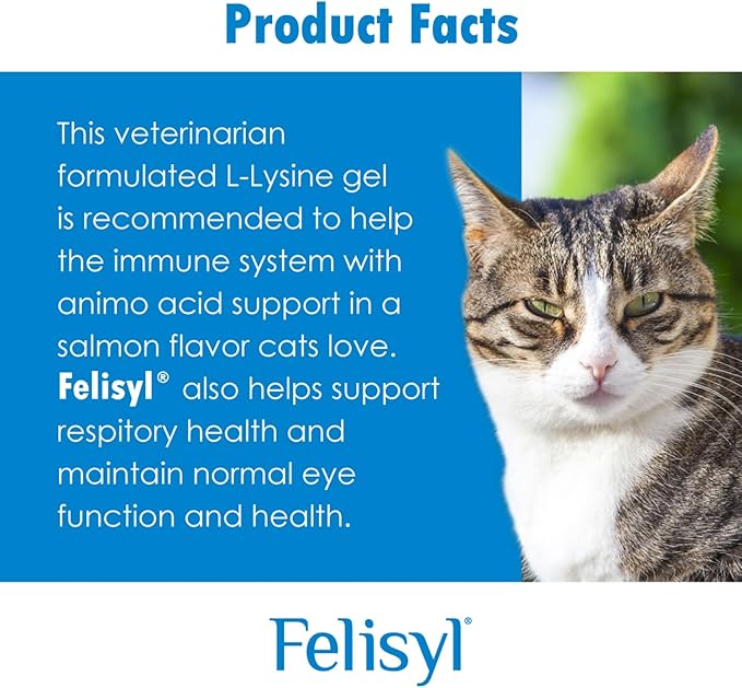 L-Lysine Soft Chews for Cats (60 Soft Chews) – Supports Immune, Respiratory, and Eye Health. Eases Sneezing, Runny Nose, and Watery Eyes. Salmon Flavor - (6 Pack)